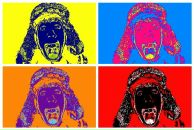 Фотография Данилова Дэна