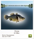 Андрій Фесюк фотография #3 (источник - https://vk.com/id133063441)