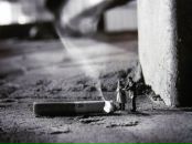 Фотография Костина Константина