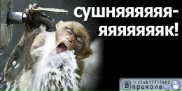 Фотография Веденского Димы