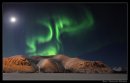 Фотография Владимировны Эльвиры