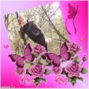 Robu Daniela фотография #33 (источник - https://vk.com/id55878033)