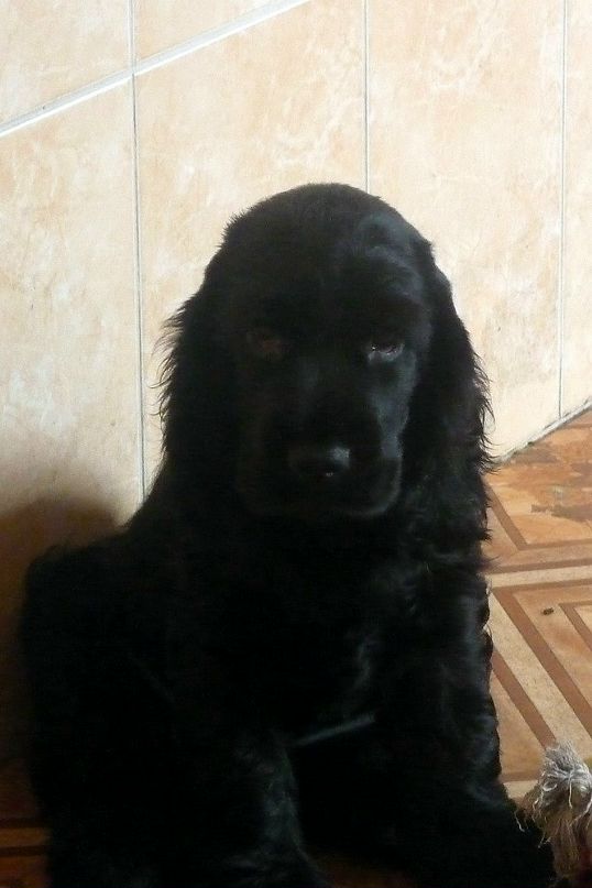 Наталья Попова фотография #20