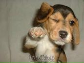 Сяня Олефір фотография #2 (источник - https://vk.com/id162196237)