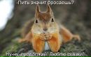 Фотография Федотова Данилы