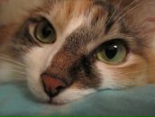 Фотография Липиной Любочки