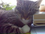 Фотография Смирновой Надежды