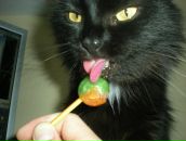 Фотография Городничева Ромы