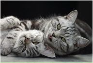 Фотография Егоровой Ольги