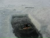 Фотография Сажаева Алексея