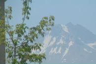 Фотография Юлдашбаевой Салимы