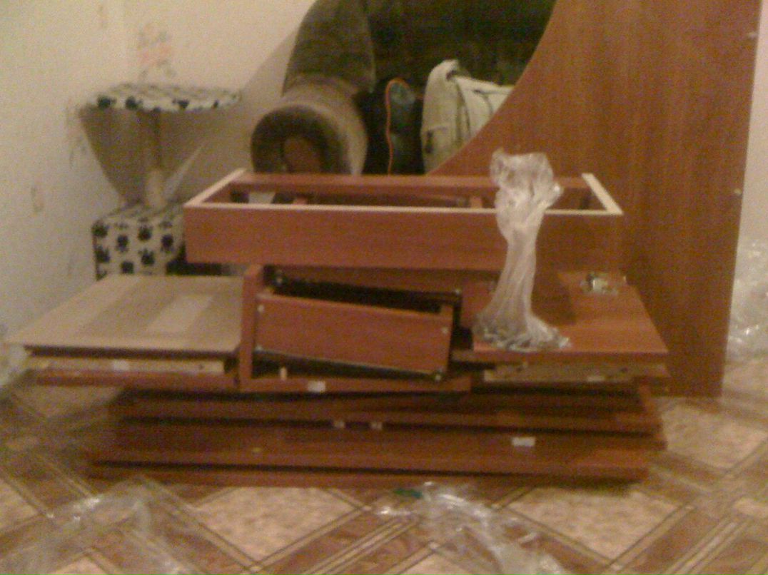 Crazy Squirrel фотография #22