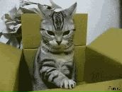 Фотография Пальчикова Артёма