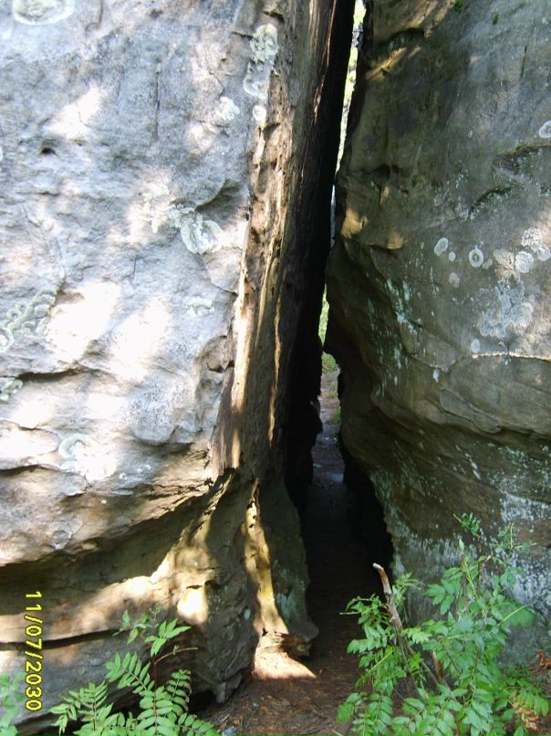 Евгений Трубицын фотография #36