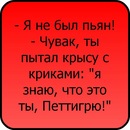 Ірина Кирилюк(синицька) фотография #11 (источник - https://vk.com/id138889467)