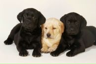 Фотография Казакова Дениса