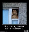 Фотография Советова Дмитрия