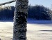 Вікторія Кусень фотография #3 (источник - https://vk.com/id151243971)