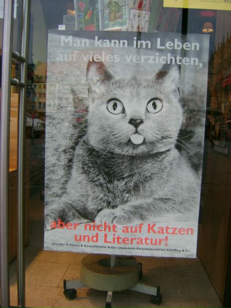 №6, Валентина Коптева №6, Валентина Коптева