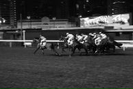 Оксана Девочкина фотография #32 (источник - https://vk.com/id521916)