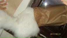 Фотография Васильева Дениса