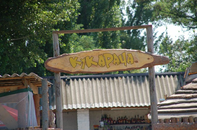 Димка Ерёмин фотография #1
