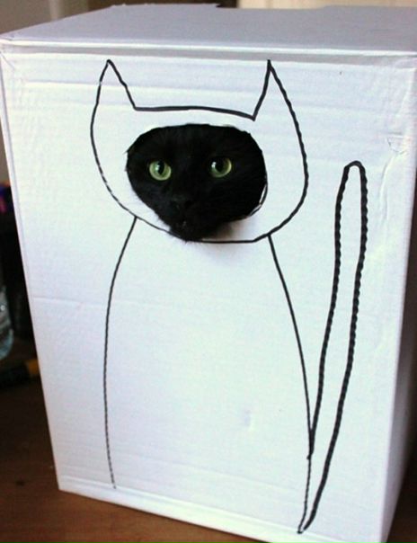 Сергей Елфутин фото №20