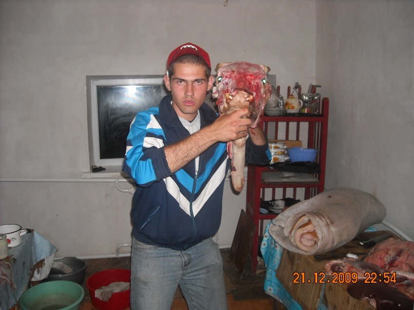 Леонид Вербицкий фотография #19