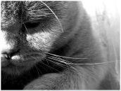 Фотография Мамбет-Али Юлии