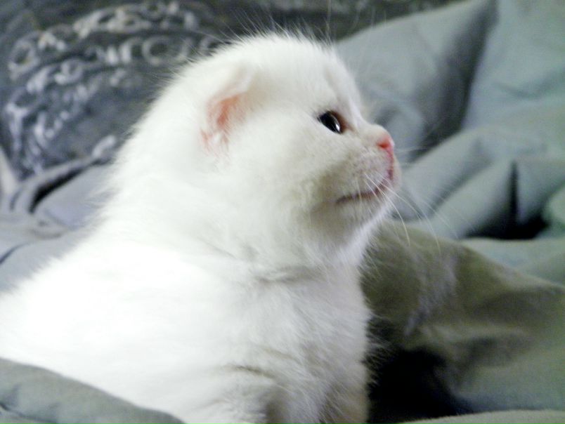 Эля Лёшенка фото №30