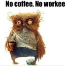 Фотография Плотникова Ивана