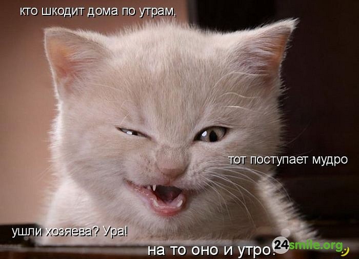 Ivan Vik фотография #7