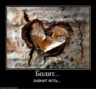 Денис Чириков фотография #10 (источник - https://vk.com/id9476982)