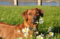 Фотография Мкртычян Екатерины