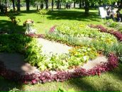 Елена Марковская фотография #37 (источник - https://vk.com/id4057570)