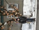 Сергій Кравченко фотография #29 (источник - https://vk.com/id71854282)