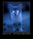 Фотография Toivo Glumov