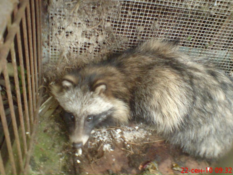 Александр Минченков фото №19