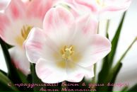 Фотография Лесовец Веры