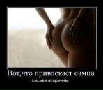Серж Мігунов фотография #44 (источник - https://vk.com/id30403206)
