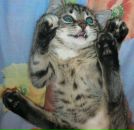 Фотография Федоровой Ани