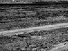 Женя Олійник фотография #37 (источник - https://vk.com/id137084667)