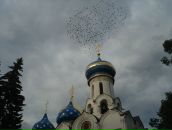 Фотография Шарманкиной Натальи