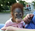 Фотография Большагина Константина