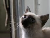 Фотография Татариновой Полины