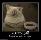 Фотография Романенко Дмитрия