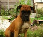 Фотография Рушевой Татьяны