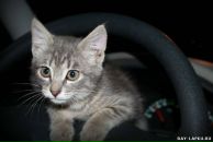 Фотография Ермолиной Ольги