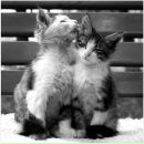 Фотография Левиной Анастасии