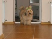 Фотография Тимофеева Владимира